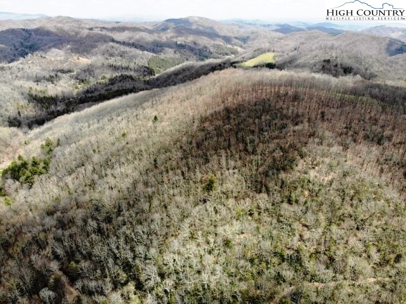 115 Little Horse Path Lansing, NC 28643 - Photo 32 of 33 a view of a dry yard