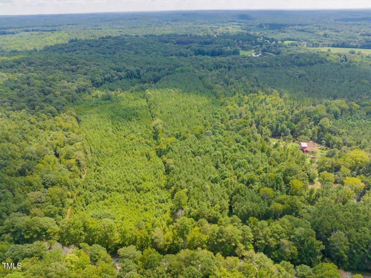 1647 Alex Cockman Road Pittsboro, NC 27312 - Photo 4 of 19 04-004-1647AlexCockmanRoad-Parcel62875-2
