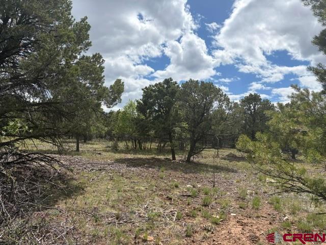 Lot 4 Tower Road Ridgway, CO 81432 - Photo 1 of 14