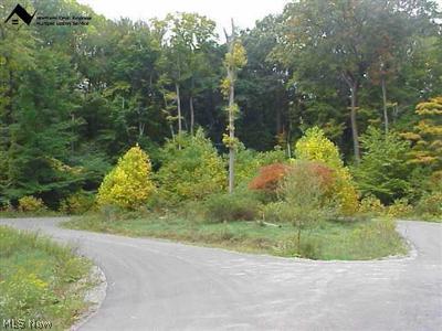 Glen Road Chagrin Falls, OH 44022 - Photo 1 of 1 Gallery Image 1