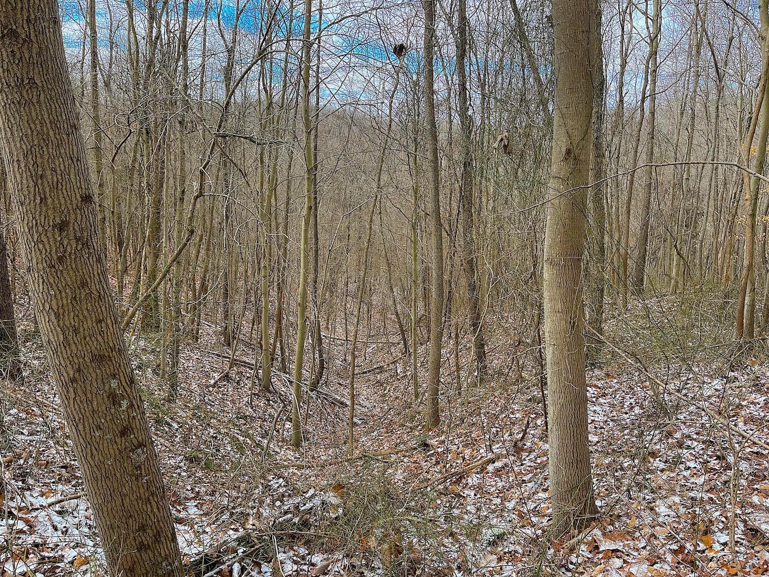 0 Hunting Run Road Lucasville, OH 45648 - Photo 25 of 39 IMG_0557