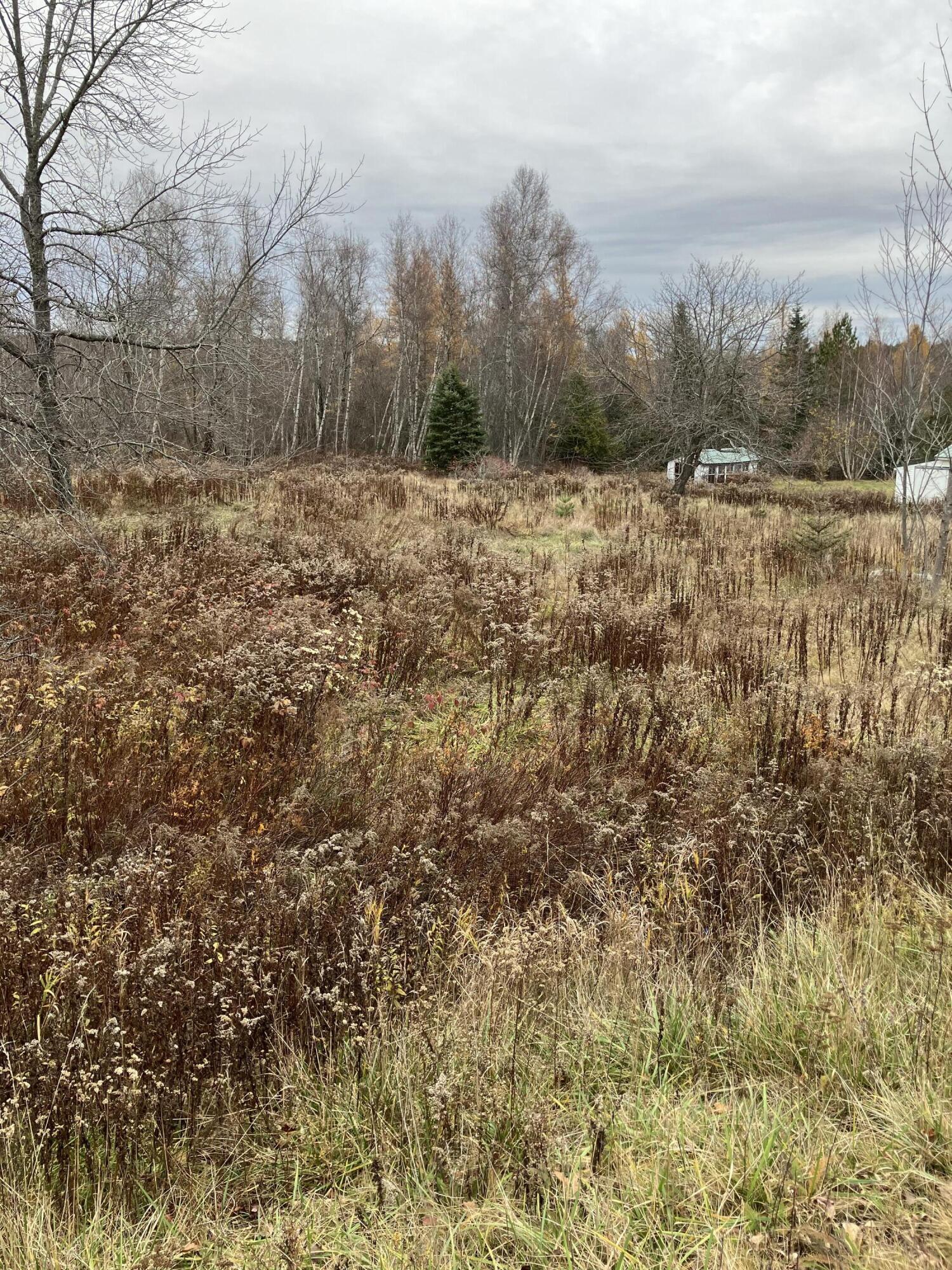 378 Airline Road Baileyville, ME 04694 - Photo 3 of 31 IMG_2051