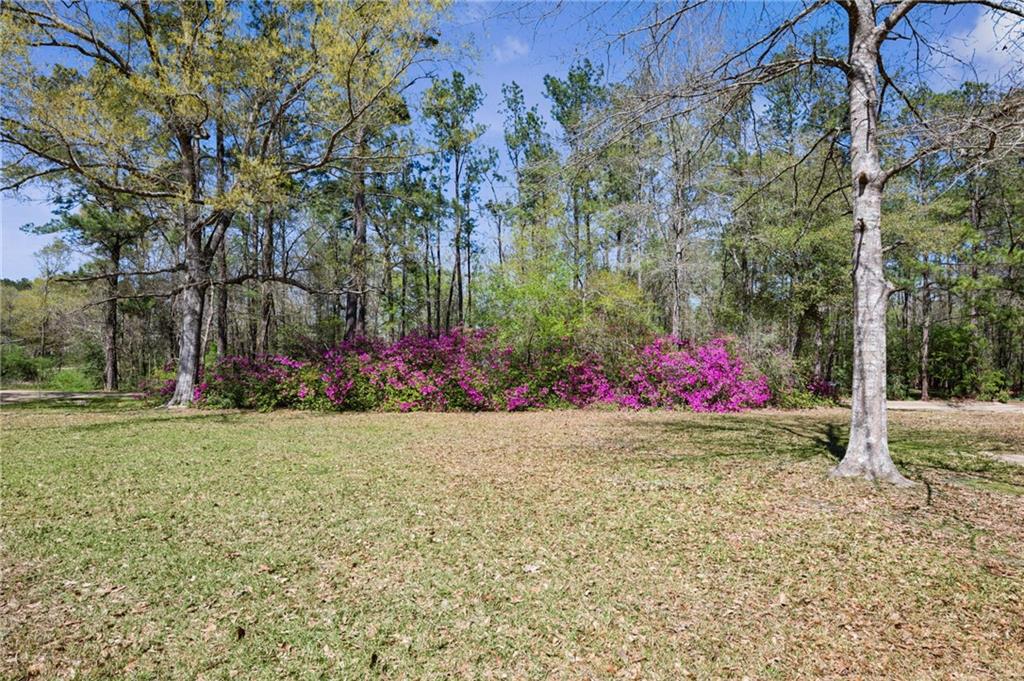 13142 Jones Road Ponchatoula, LA 70454 - Photo 17 of 20 Gallery Image 17