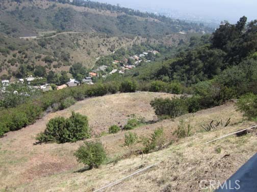 1740 Summitridge Drive Beverly Hills, CA 90210 - Photo 5 of 7 a view of a dry yard