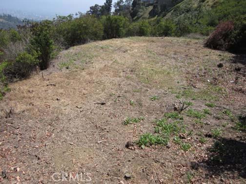 1740 Summitridge Drive Beverly Hills, CA 90210 - Photo 6 of 7 a view of a backyard of a house