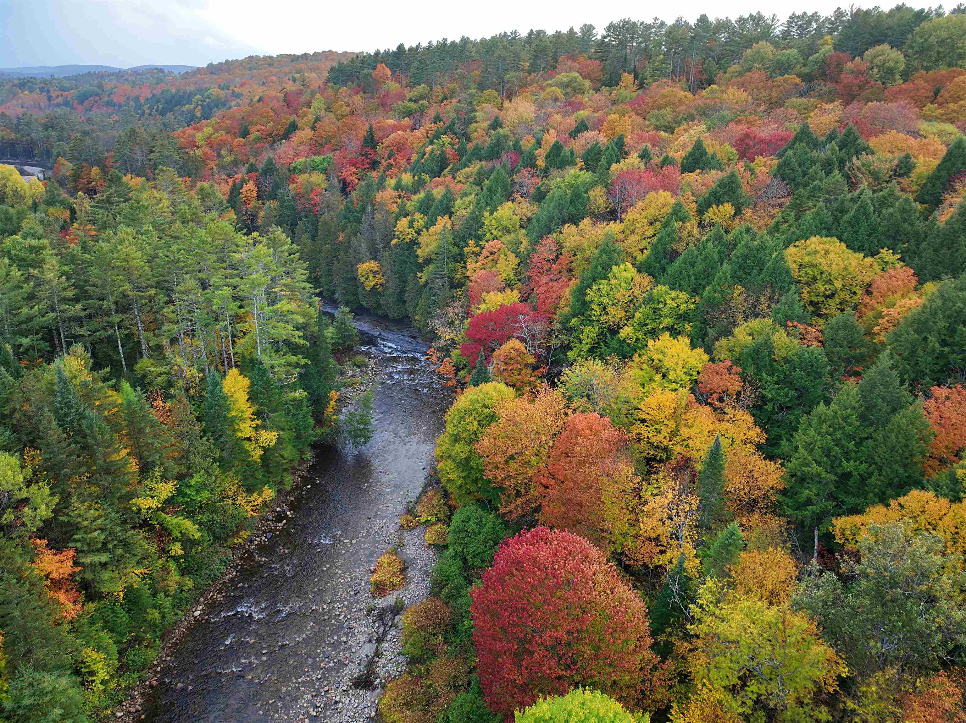 0 Darling Hill Road Lyndonville, VT 05851 - Photo 12 of 47 Gallery Image 12