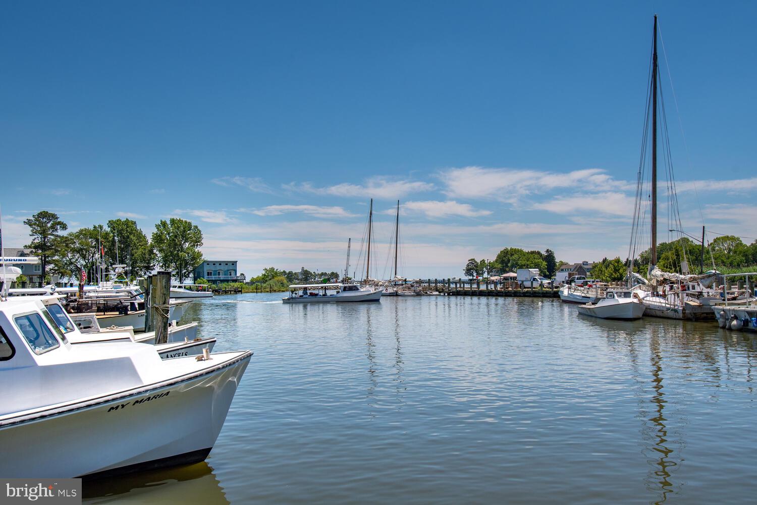 21485 Island Club Road Tilghman, MD 21671 - Photo 76 of 83 a view of a lake with boats