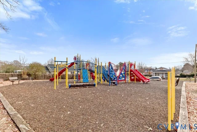 a street view with large trees