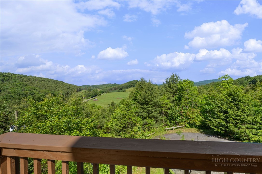 2163 Phillips Gap Road West Jefferson, NC 28694 - Photo 9 of 47