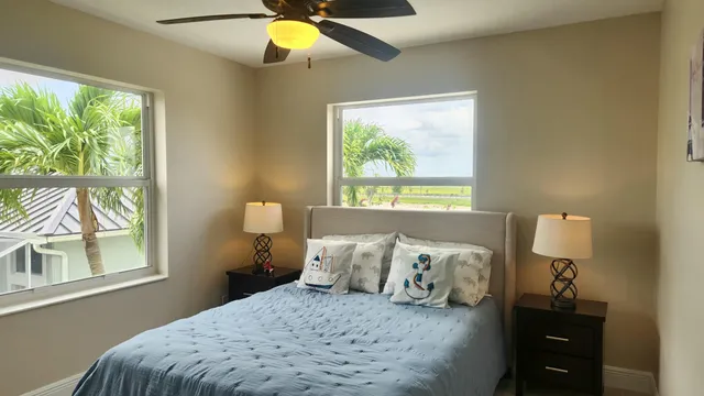 a view of a garden with a tree