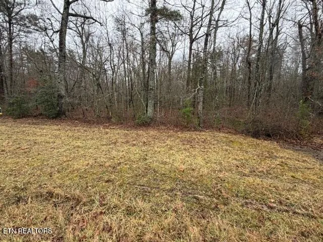 $11,500 | Lot 8 Cumberland Lakes Drive, Monterey, TN 38574