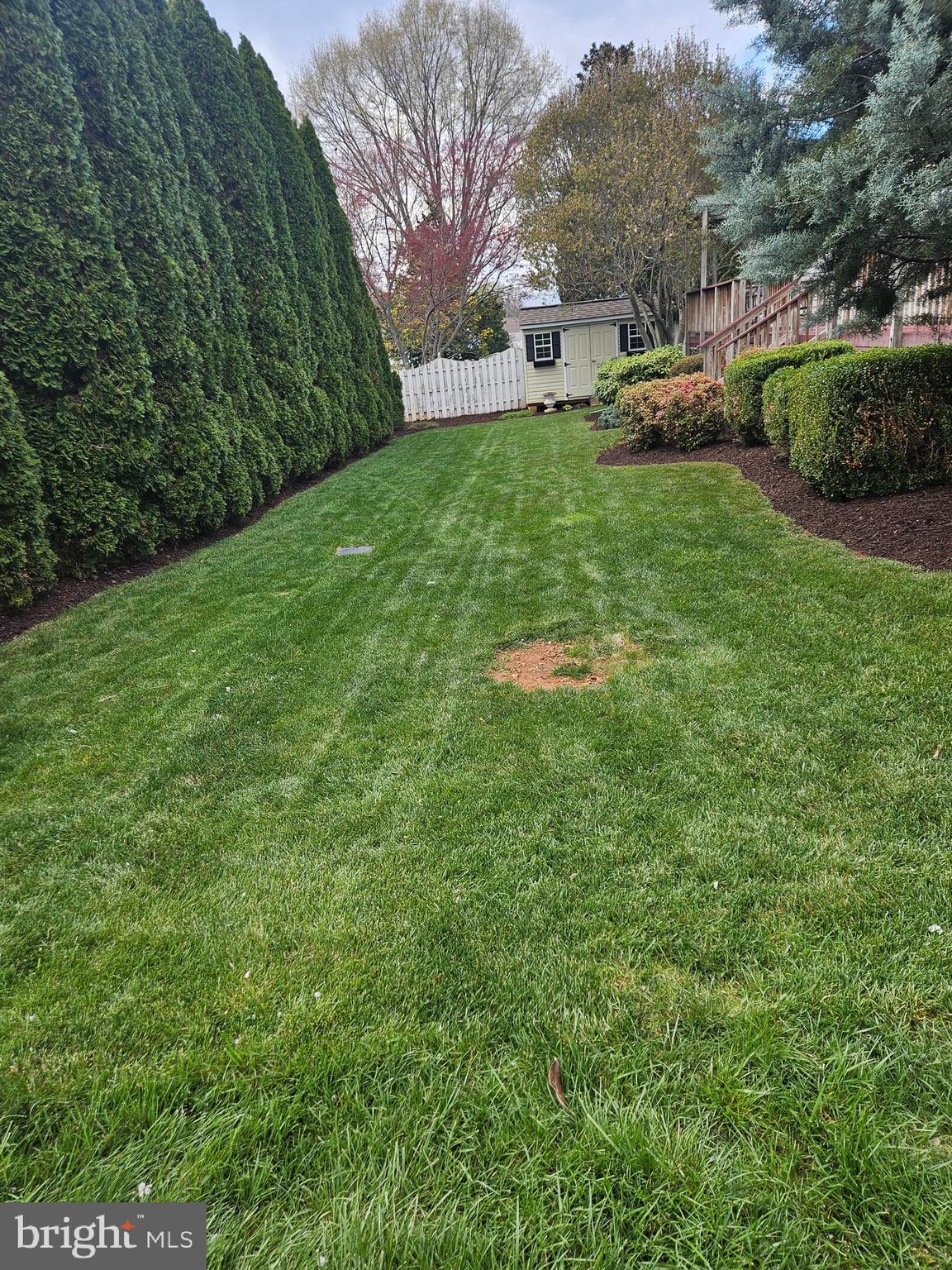 Private back yard.