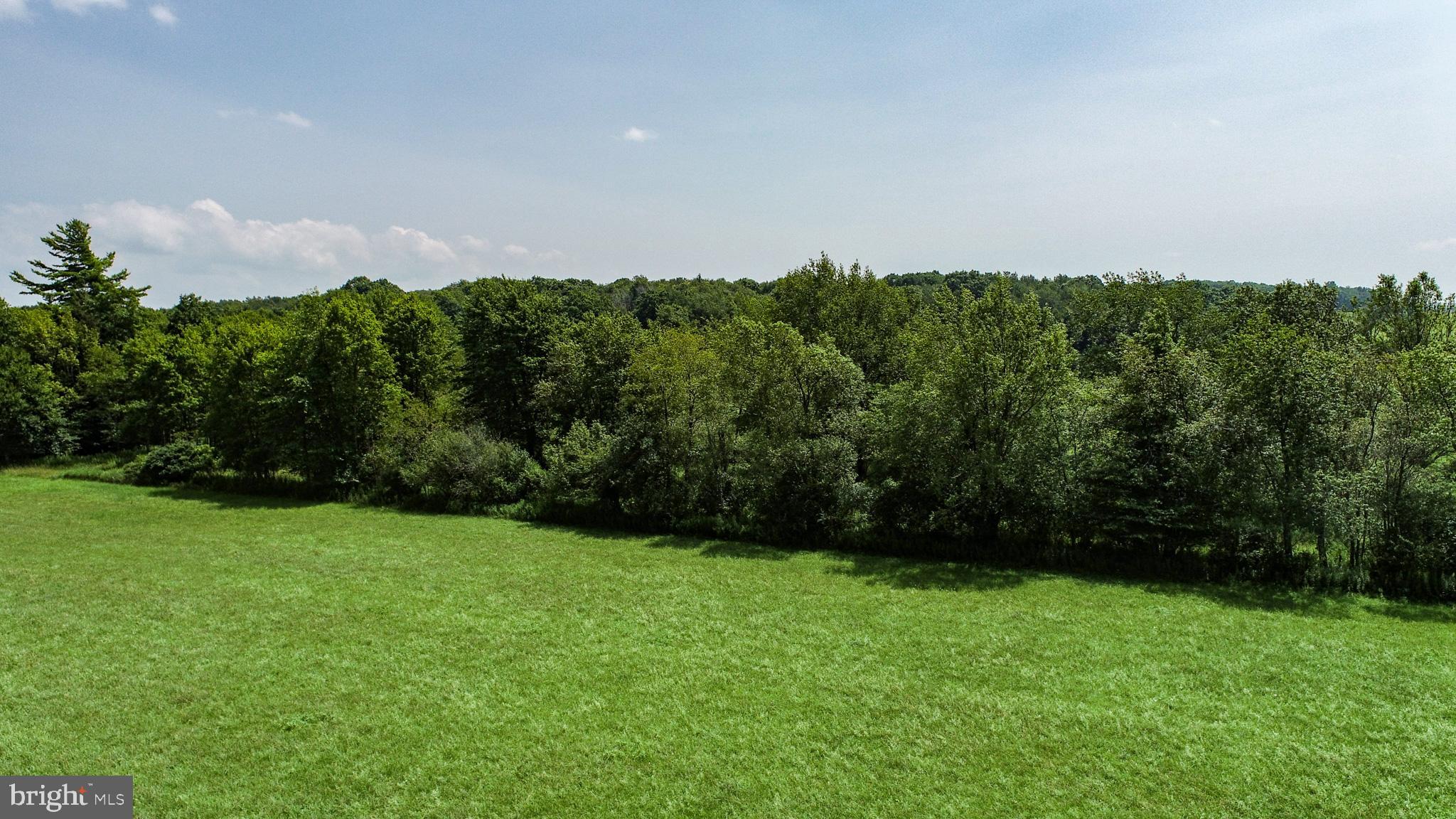 1 Rock Lodge Road McHenry, MD 21541 - Photo 24 of 26 Gallery Image 24