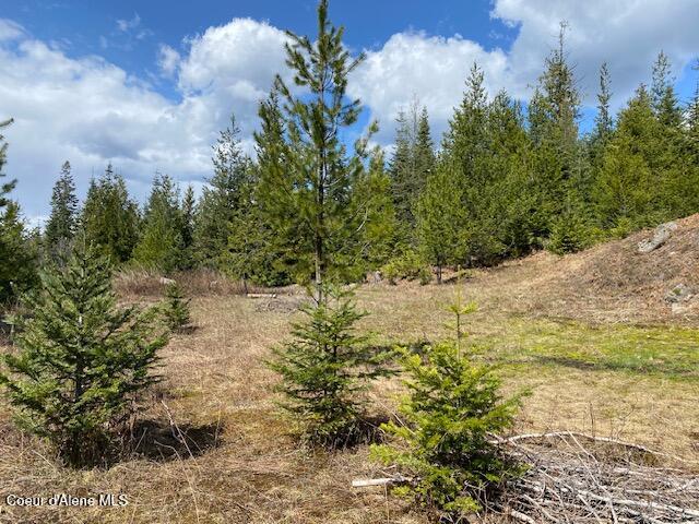 Nna Upper Gold Creek Road Sandpoint, ID 83864 - Photo 11 of 25 14