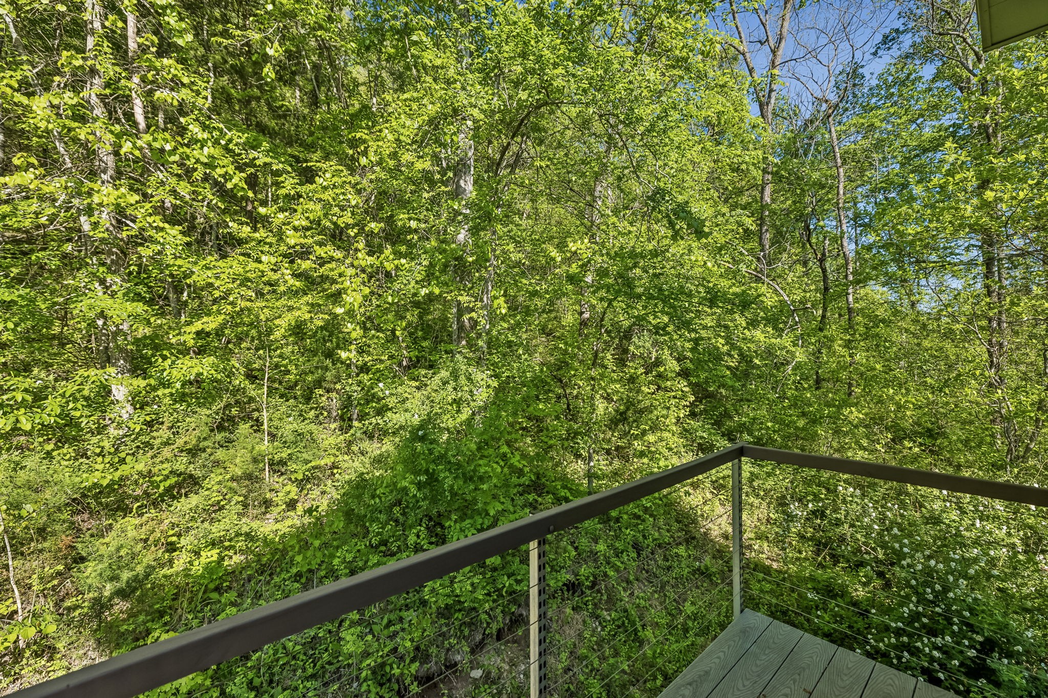 644 West Fork Road Summertown, TN 38483 - Photo 53 of 93