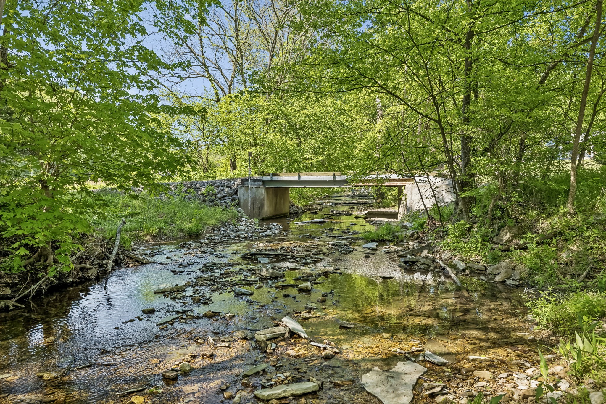 644 West Fork Road Summertown, TN 38483 - Photo 60 of 93