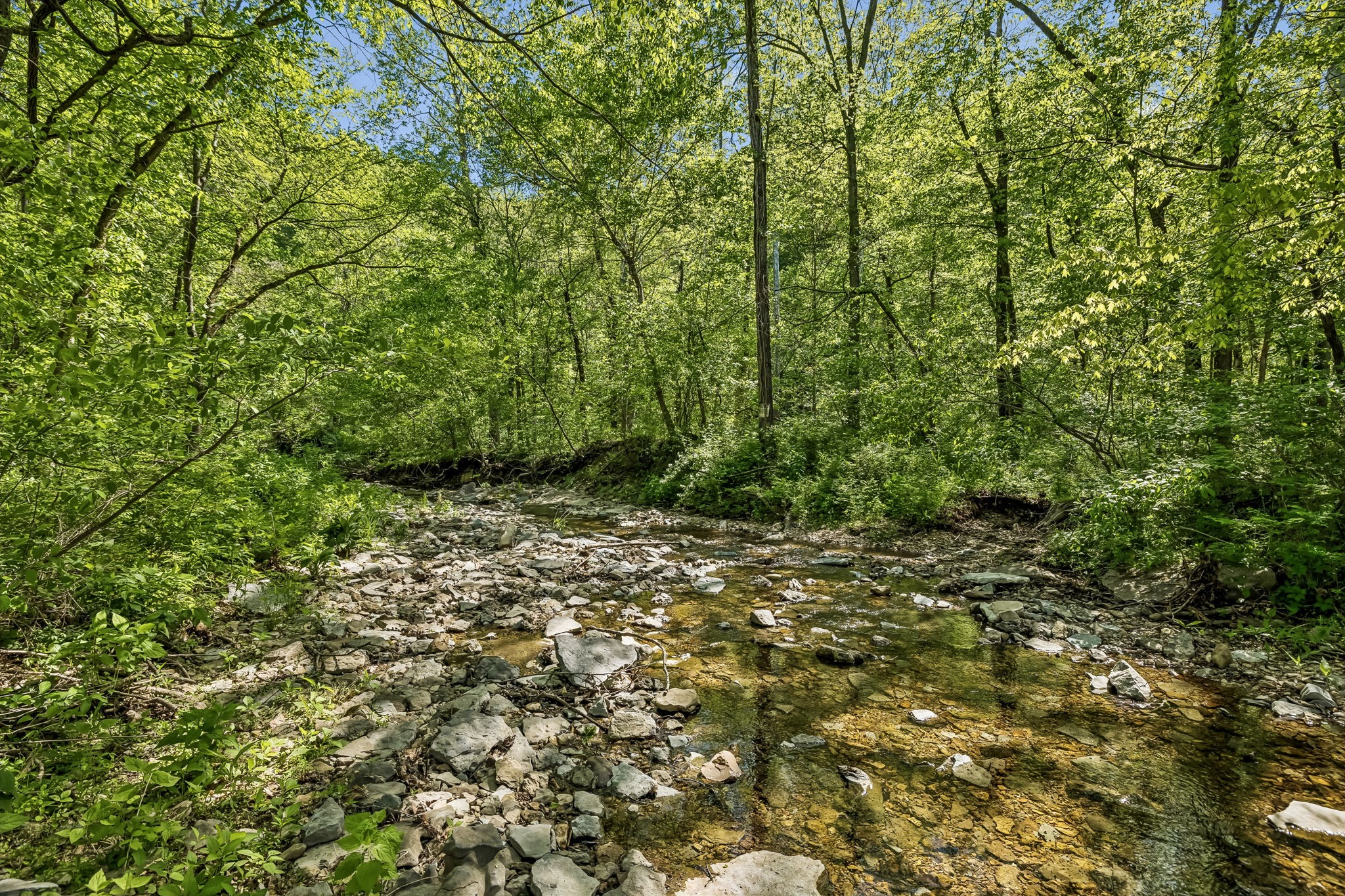 644 West Fork Road Summertown, TN 38483 - Photo 61 of 93