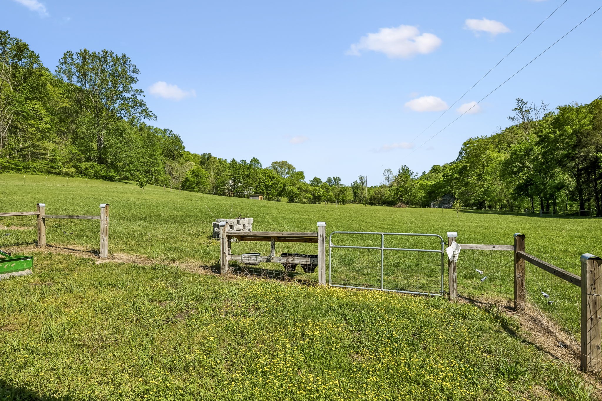 644 West Fork Road Summertown, TN 38483 - Photo 67 of 93