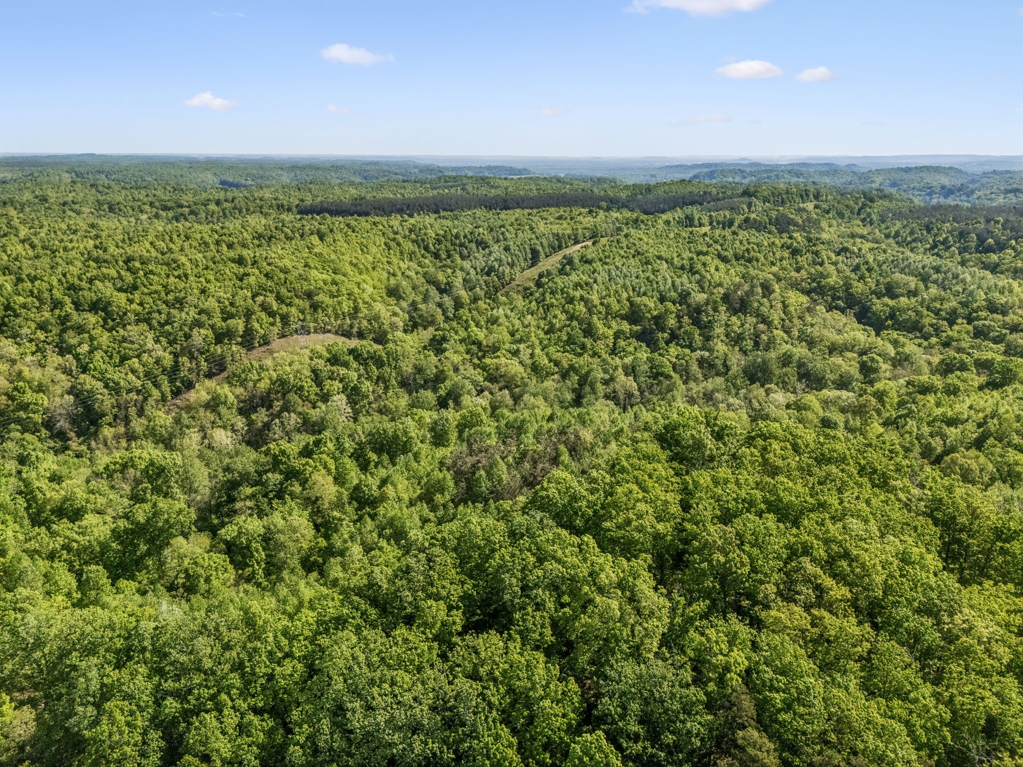 644 West Fork Road Summertown, TN 38483 - Photo 85 of 93