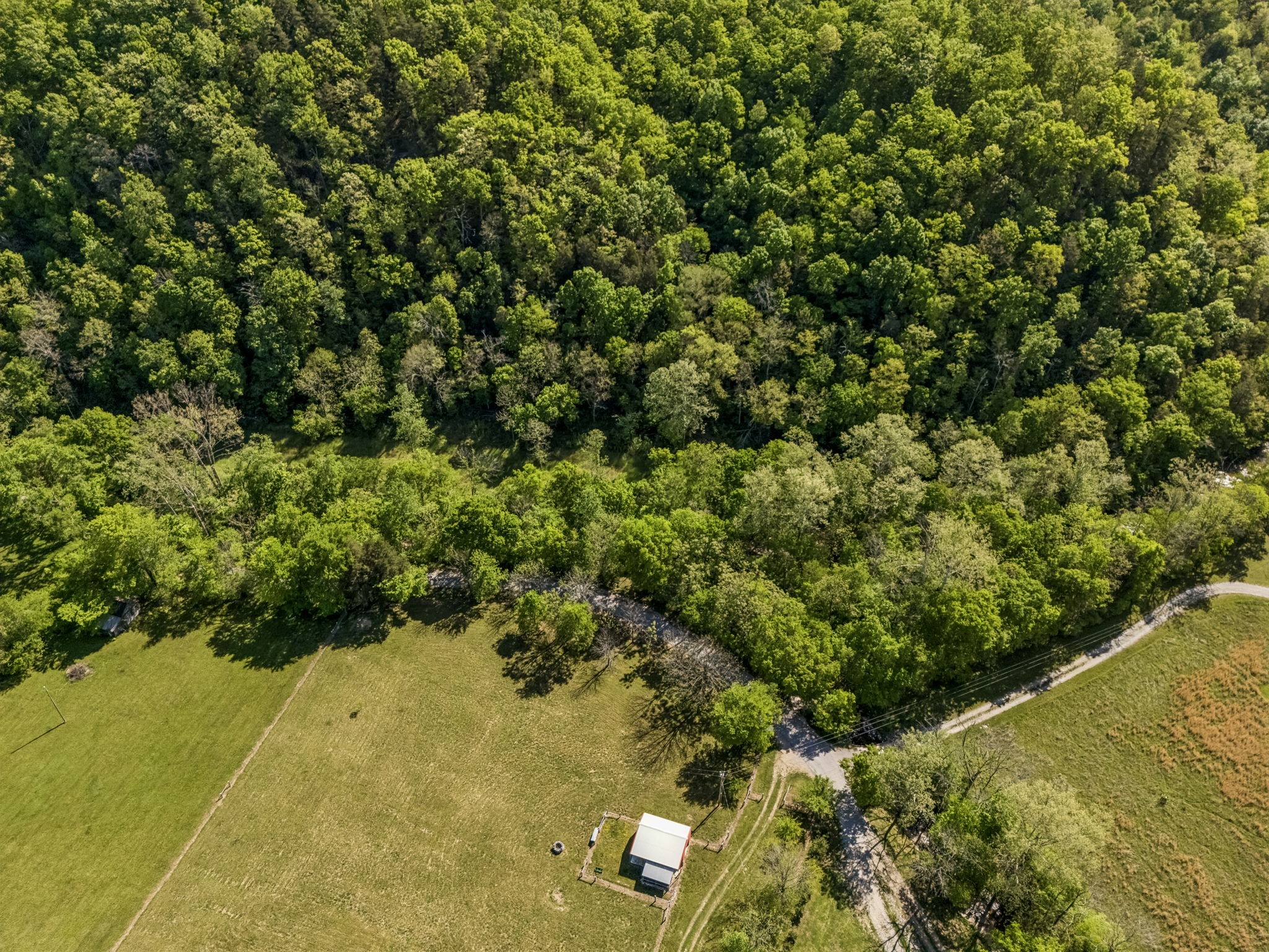 644 West Fork Road Summertown, TN 38483 - Photo 91 of 93