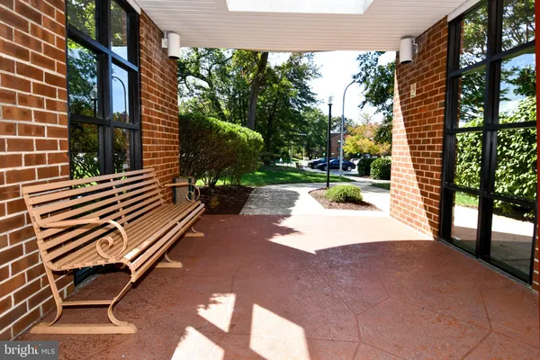 a view of backyard with a large tree