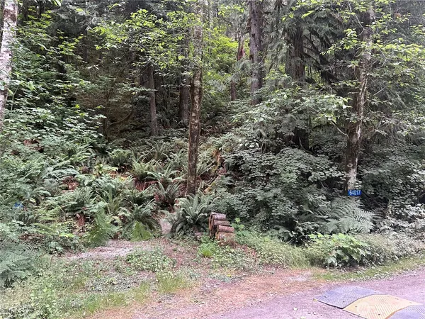 $9,000 | 64017 East Cascade Drive, Marblemount, WA 98267