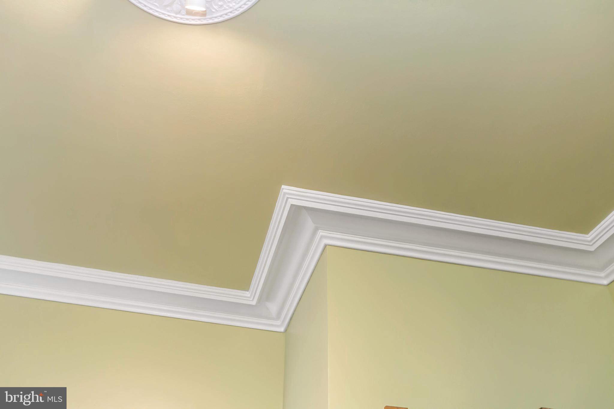1931 St Paul Street Baltimore, MD 21218 - Photo 14 of 58 Detail of restored plaster crown molding