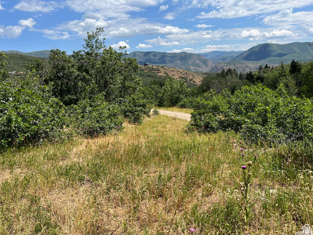 St, Unit 41 Springville, UT 84663 - Photo 5 of 12 View of mountain background