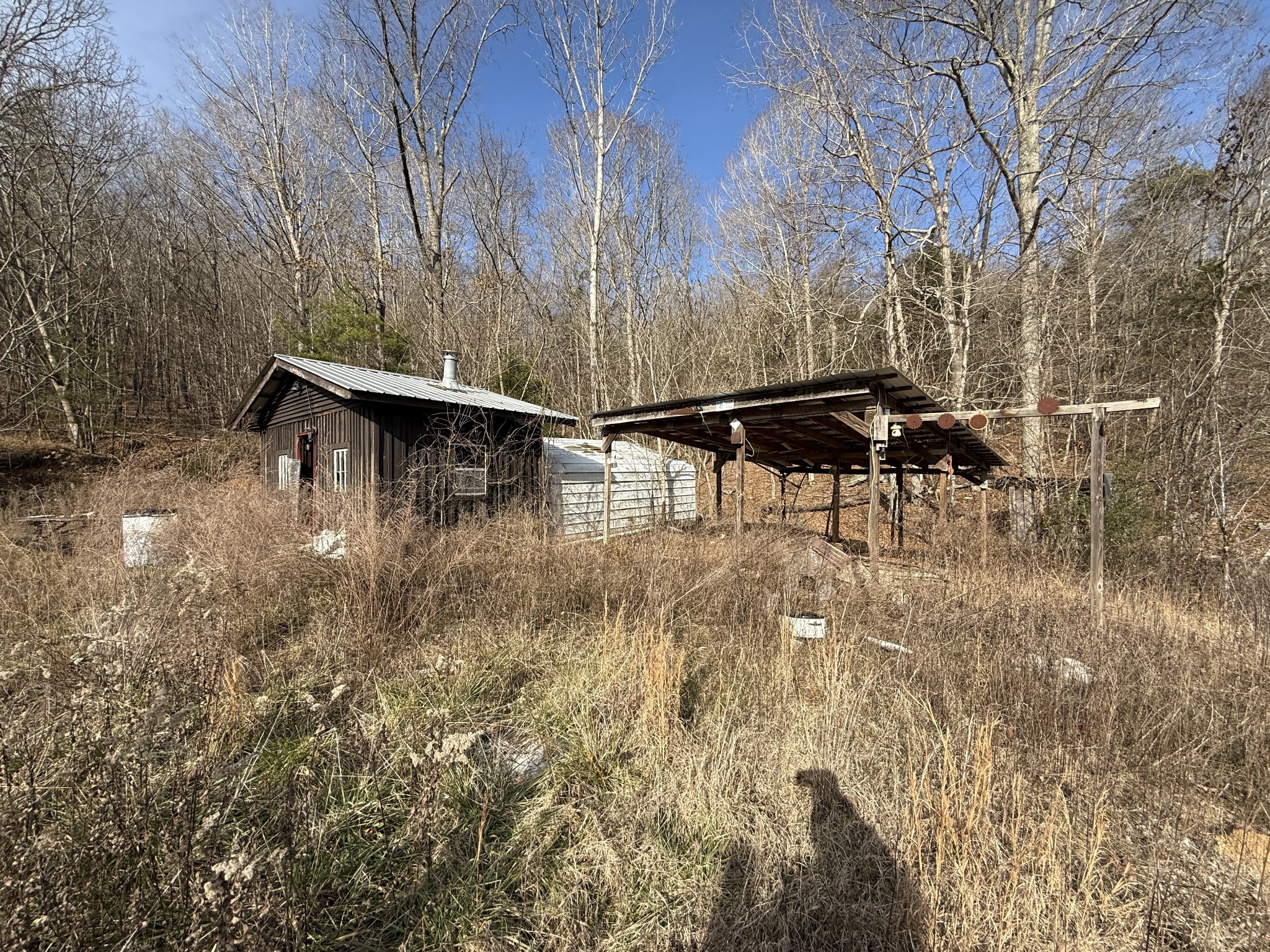4819 Morrison Creek Road Clifton, TN 38425 - Photo 7 of 19 a view of outdoor space with seating area