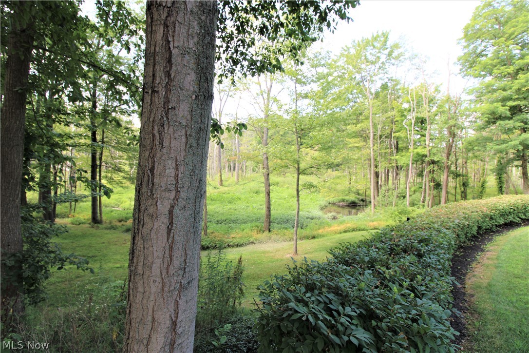 4262 South Ridge Road East Geneva, OH 44041 - Photo 14 of 35