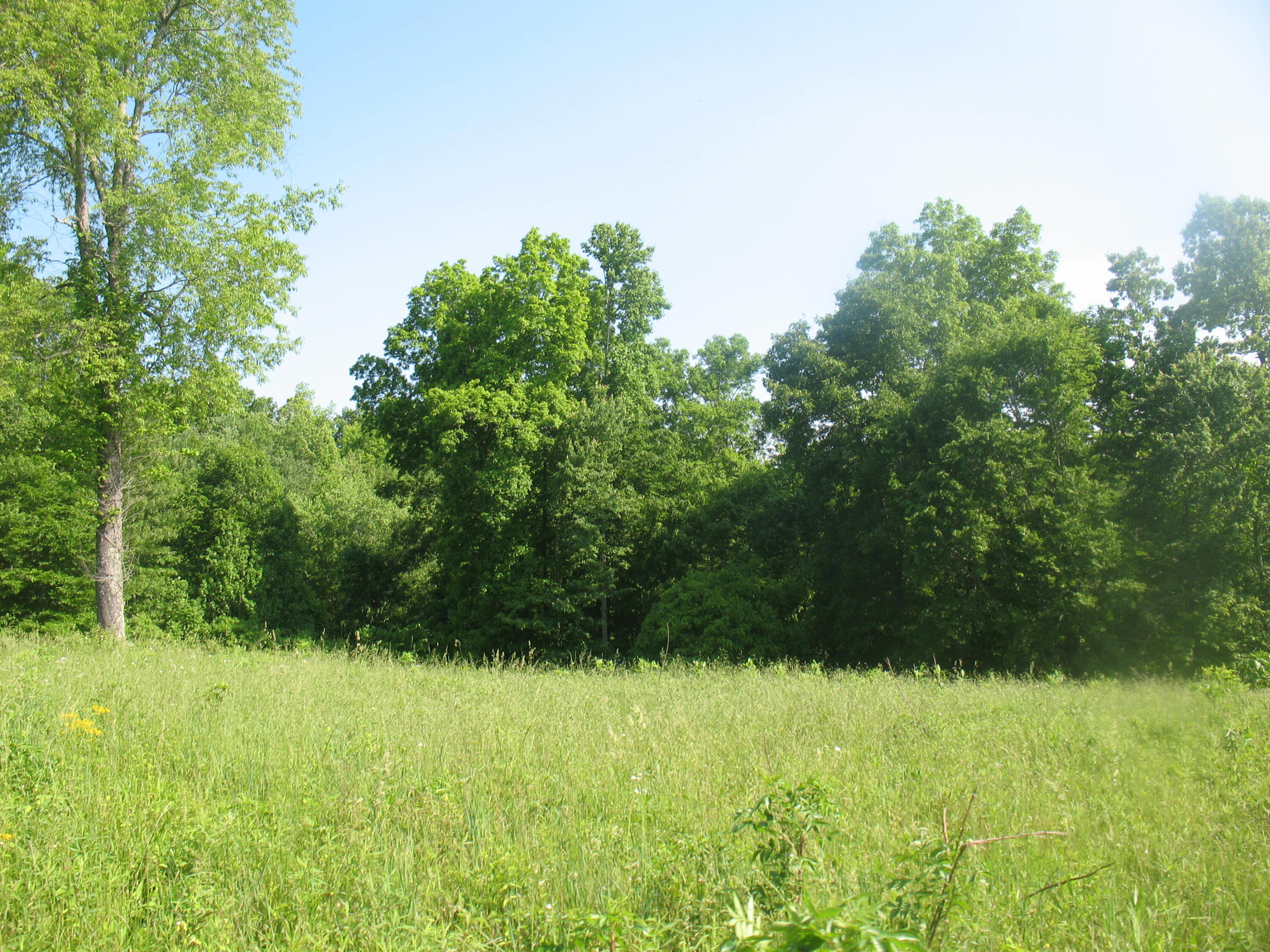 9999 Rudder Lane London, KY 40741 - Photo 31 of 33 IMG_4331
