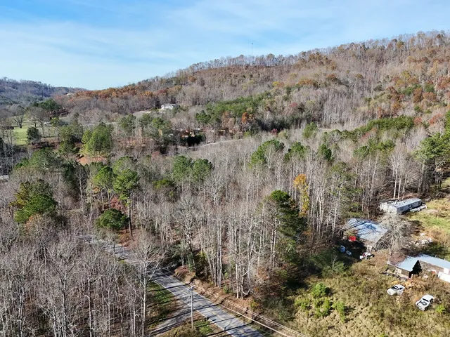a view of a city with mountains in the background