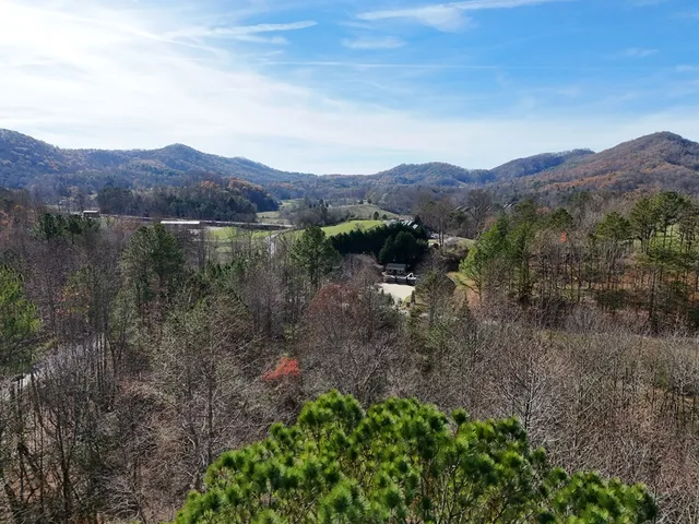 a view of a lush green hillside and a houses