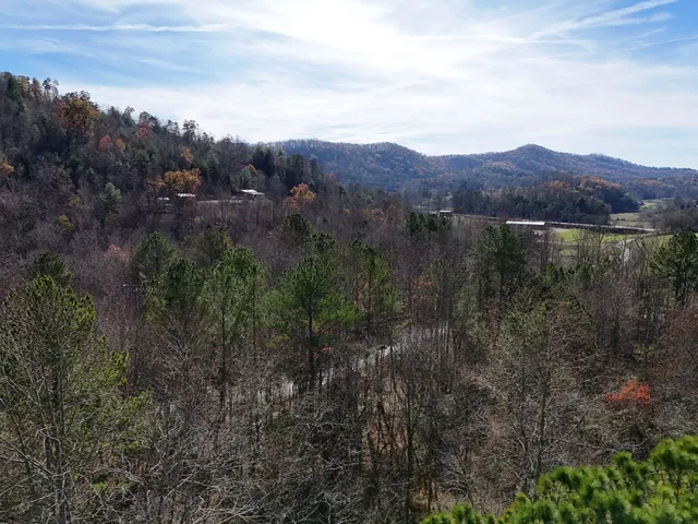 a view of a lush green hillside and a houses