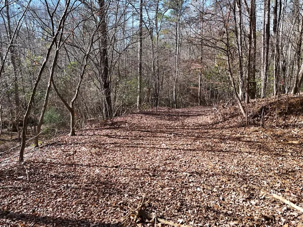 a view of outdoor space with lots of trees