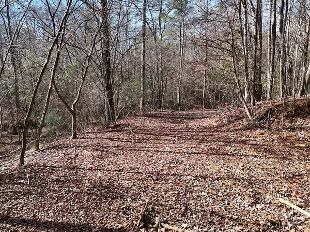 a view of outdoor space with lots of trees