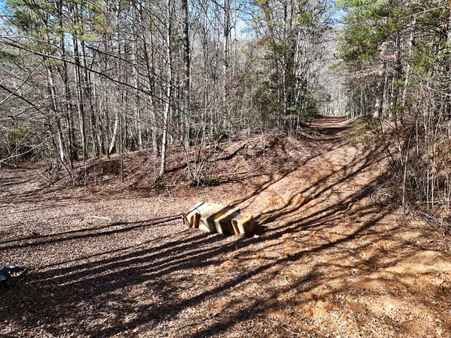 a view of a yard with trees