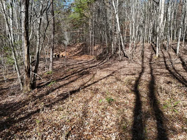 a view of outdoor space with trees