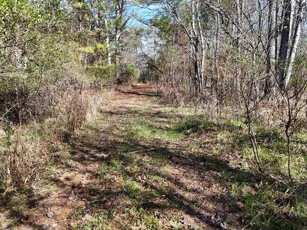 $29,900 | Lot 2 Wildwood, Hayesville, NC 28904