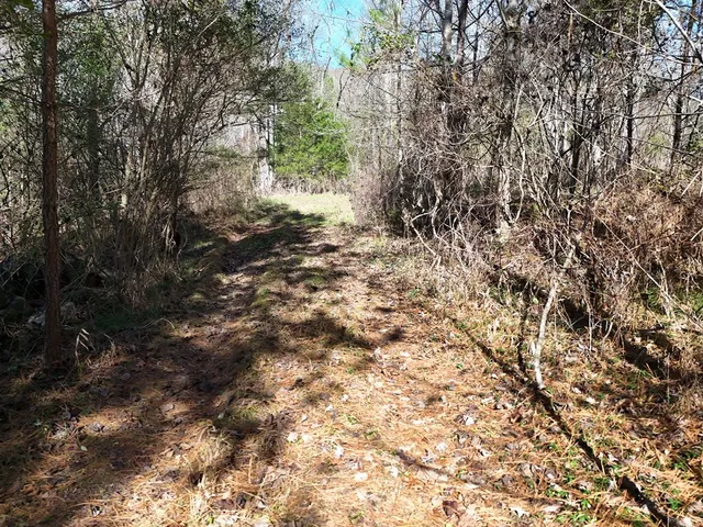 $29,900 | Lot 2 Wildwood, Hayesville, NC 28904