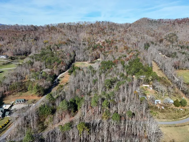 a view of a mountain in the distance