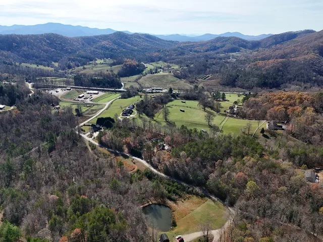 a view of a lush green hillside and houses