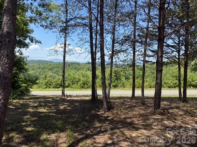 1431 Mountain Creek Road Rutherfordton, NC 28139 - Photo 5 of 17