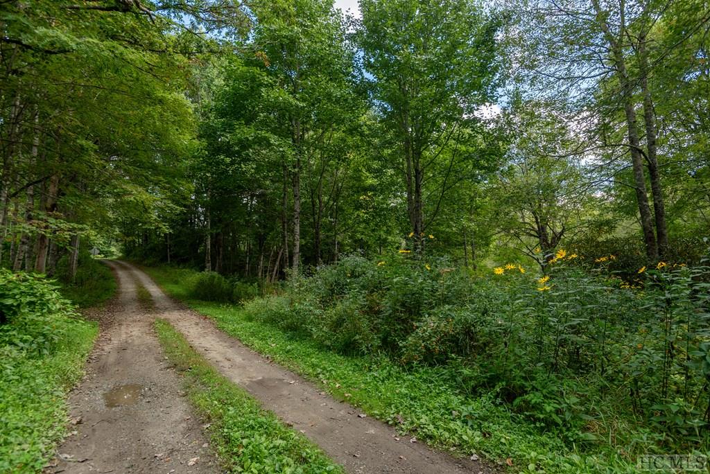 0 North Norton Road Cullowhee, NC 28723 - Photo 7 of 13 Gallery Image 7
