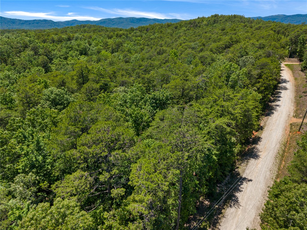 0 Pine Mountain Road Tamassee, SC 29686 - Photo 6 of 15