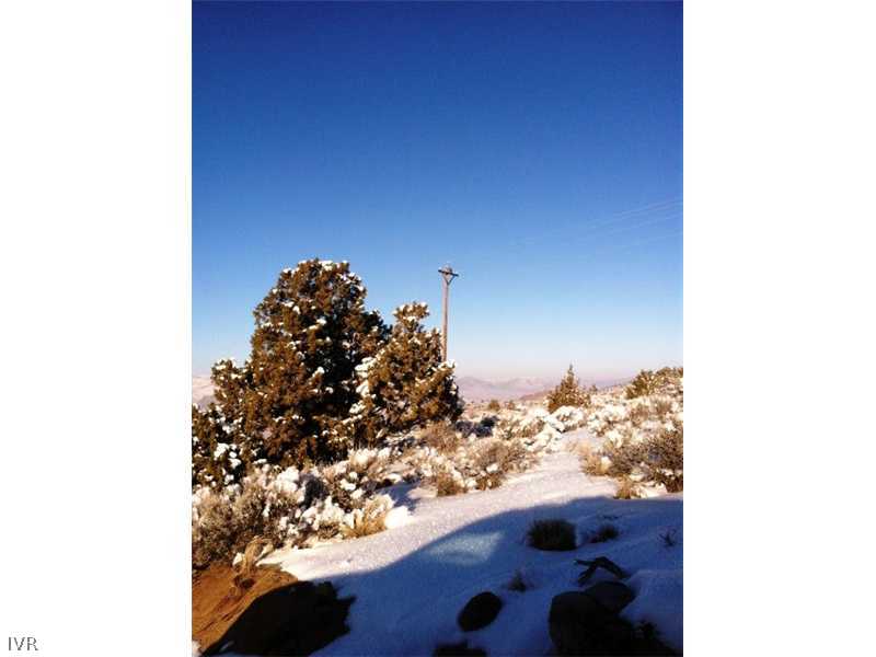 4700 Axe Handle Canyon Road Reno, NV 89510 - Photo 21 of 25 a view of a tree in a yard