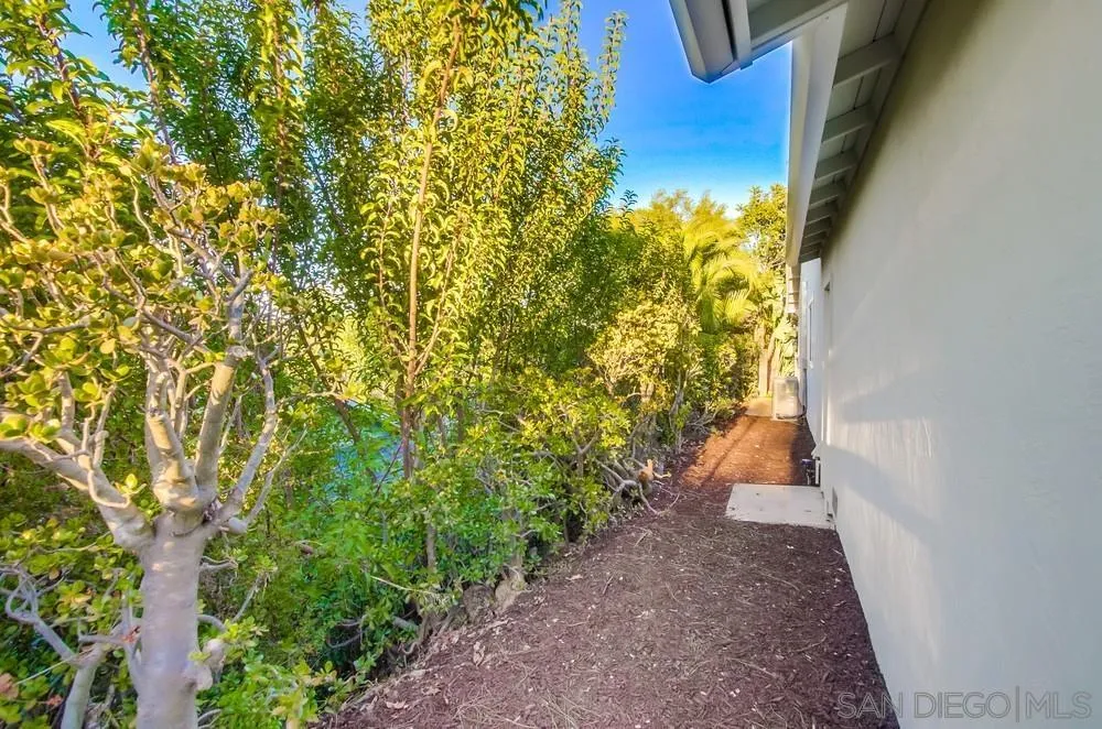 4793 54th Street San Diego, CA 92115 - Photo 63 of 74 a view of a yard with plants