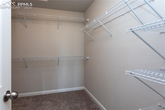 11367 Rill Point Colorado Springs, CO 80921 - Photo 19 of 32