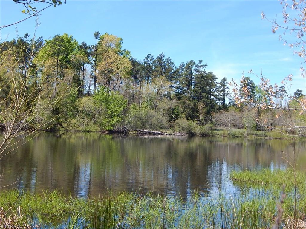 5197 Fred Lineberry Road Randleman, NC 27317 - Photo 3 of 22 Gallery Image 3