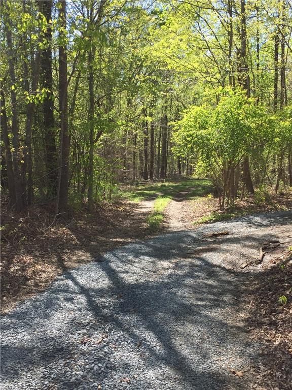 5197 Fred Lineberry Road Randleman, NC 27317 - Photo 22 of 22 The pathway to the gate.
